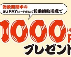 auPAY利用規約同意で残高1000円貰える！