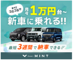 「MINT（cool-mint）」口コミ評判