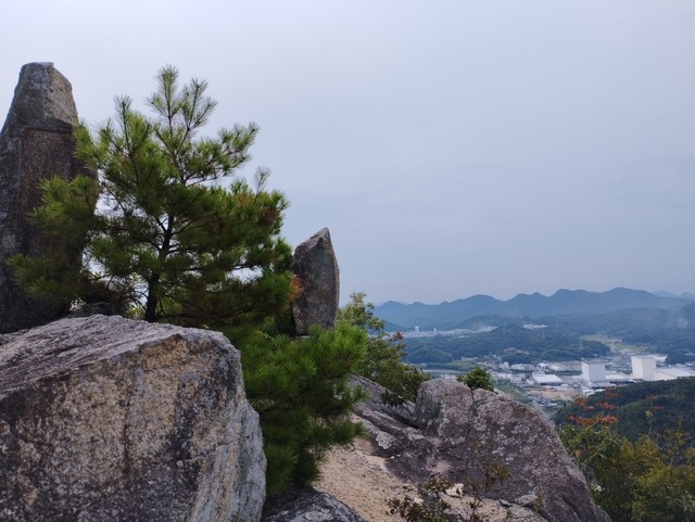 頂上から