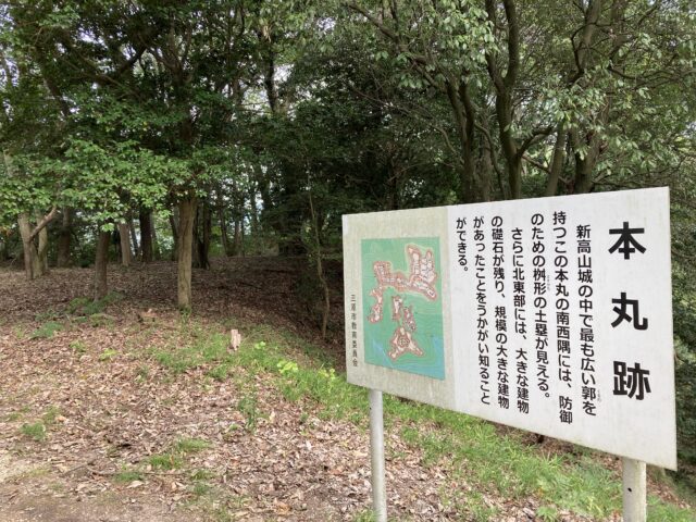 新高山城 本丸跡