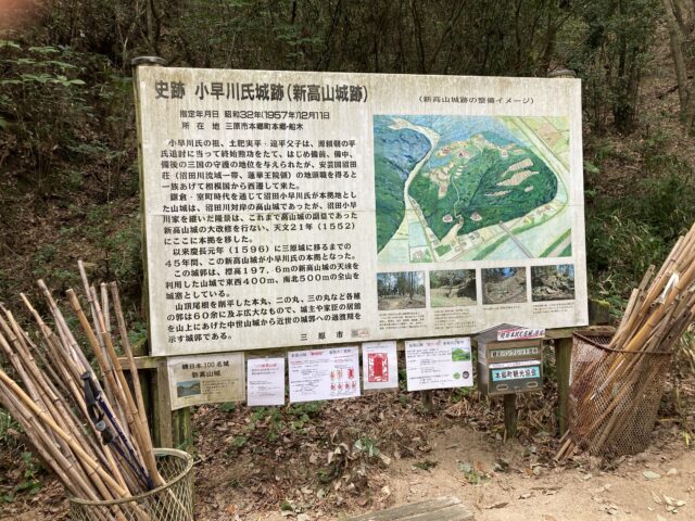 新高山城登山 杖あり