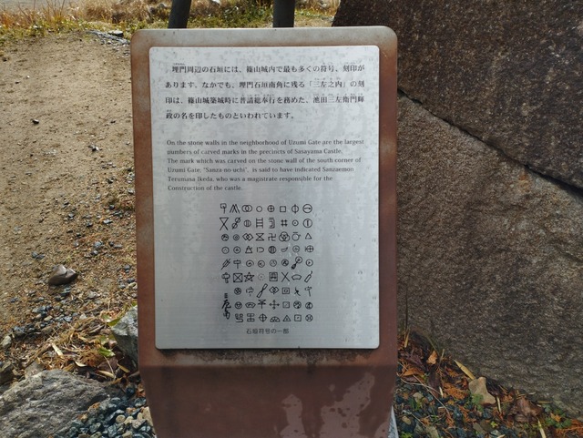 解説版