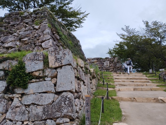 少し登ります