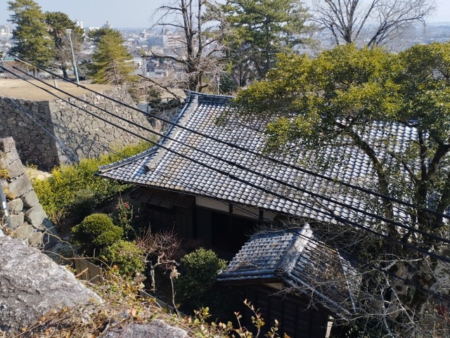 本居