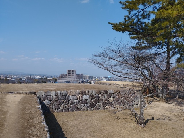 石垣の上を歩く