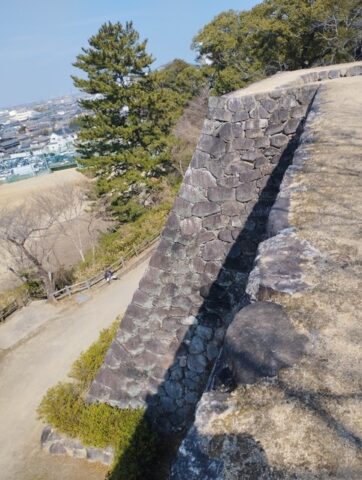 高い