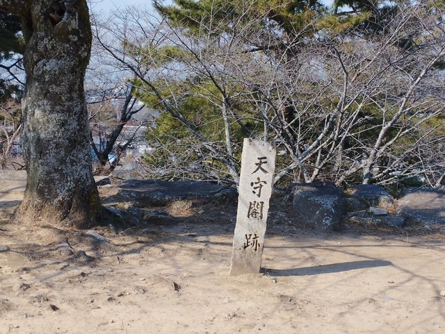 どこかな