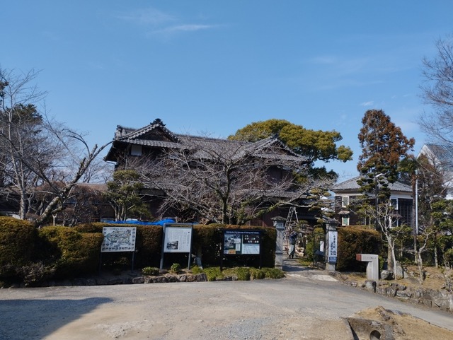 館