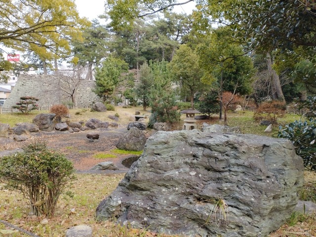 庭