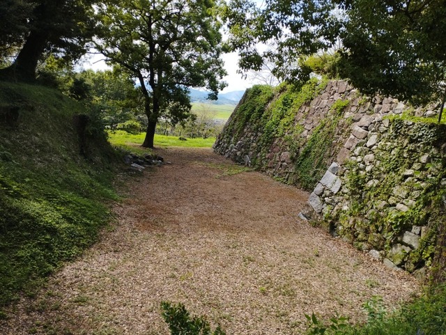 道