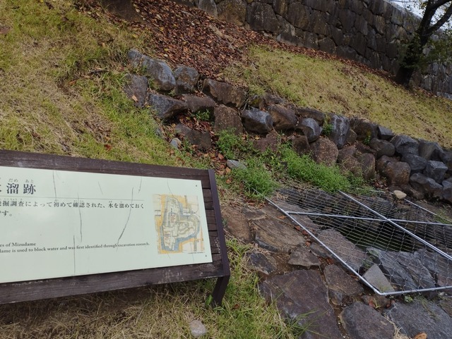 溜め