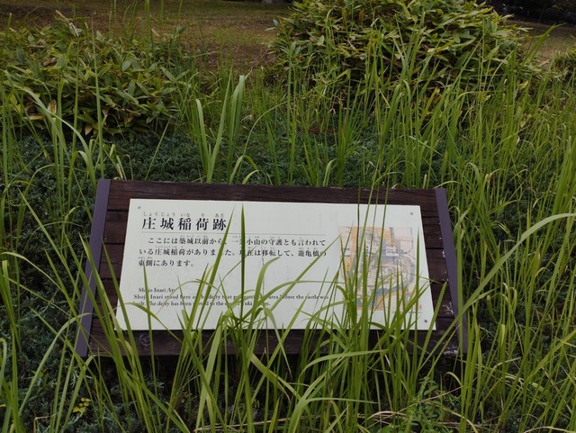 草むら