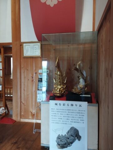 しゃち