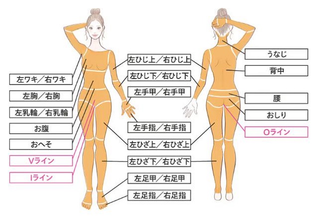 レジーナクリニック脱毛部位