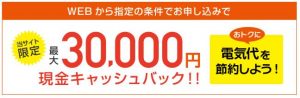電気チョイス3万円キャッシュバック