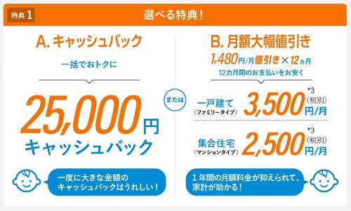 ビッグローブ光選べる特典
