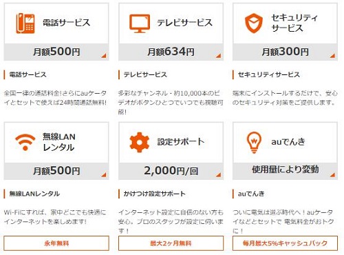 「auひかり」オプション