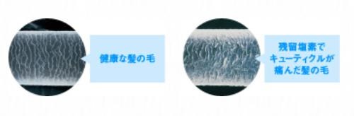 浄水シャワーヘッド」キューティクル