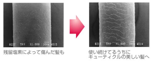 浄水シャワーヘッド」効果
