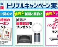 SBI損保の自動車保険」キャンペーン
