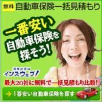 インズウェブ自動車保険
