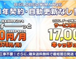 モバイルWiFi「BIGLOBE WiMAX2+」