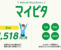 「mineo（マイネオ）」マイピタ